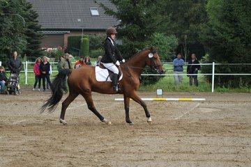 Bild 210 - WBO-Turnier am 18.9.11